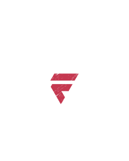 Finvision